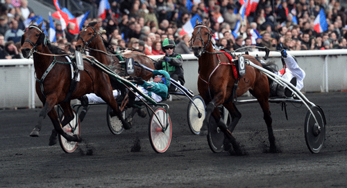 Noras Bean(udv) vinder Prix de France 2014  i en tæt opløb. Foto Gerard Forni