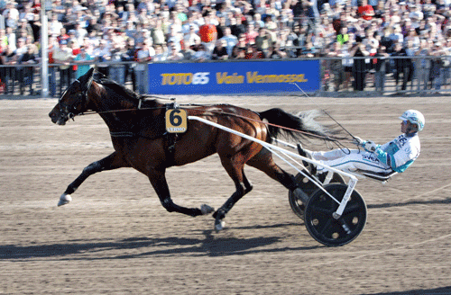 Propulsion med Ôrjan Kihlström er klar til Elitloppet. Foto Kanal 75