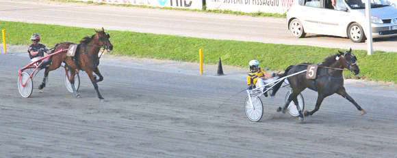 Radiofreccia Fi vinder sikkert foran Royal Blesssed. Foto Gaet