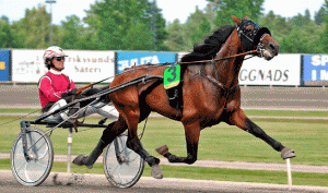 Raja Mirchi - fader til Missing Link