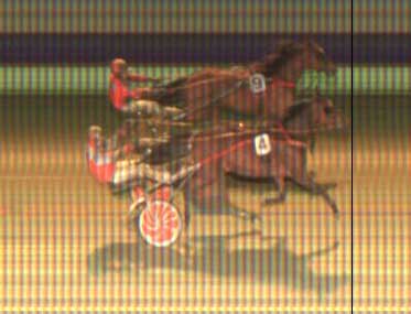 Mr Ratzeputz henviser Haras du Pin til andenpladsen.