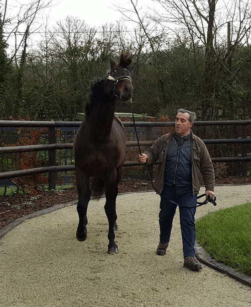 Ready Cash var i forårshumør - netop hjemkommet fra en måneds Spa-ophold