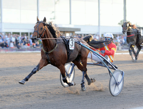 Readly Express. Kanal 75