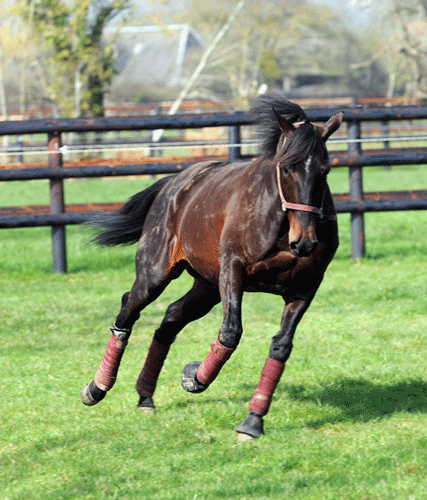 Ready Cash - nu bliver det alvor igen! Foto Gerard Forni.