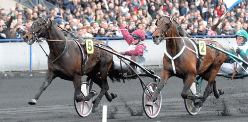 Ready Cash med Franck Nivard vil forsøge at vidne Prix d'Amerique en tredje gang. Foto Gerard Forni.