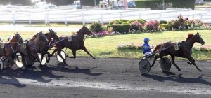 Reckless med Bjørn Goop har tidligere vundet på Vincennes og har en stor vinderchance i eftermiddag. Foto Gerard Forni