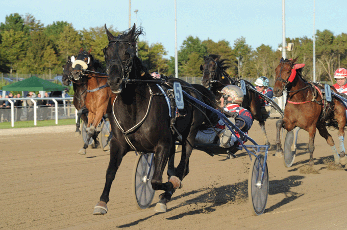 Kaj Jensen-trænede Recin så virkelig lækker ud, da den vandt Consolation for Jeppe Juel. Foto Ole Hindby.