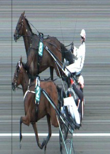 Return to Sweden fanger Remain Garbo