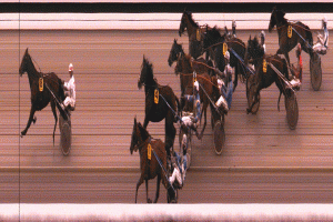 Remain Garbo vinder sikkert for anden gang i træk for Flemming Jensen