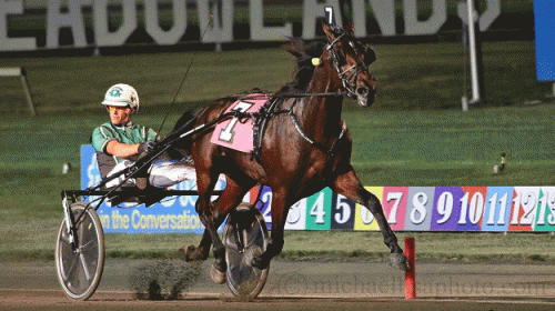 Resove med Åke Svandtedt vandt sikkert i nat. Foto Lisa Photo