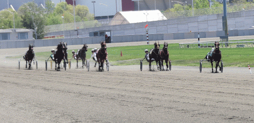 Resolve med Åke Svanstedt på vej mod sejren i Elitlopp Playoff, men bkiver senere diskvalificeret for at have kært uden for bane. Foto Lisa Photo
