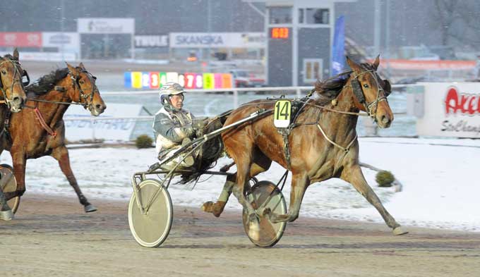 Rina Chen Hai , derhar vundet V75-løb i Sverige i år, er nu i Frankrig. Foto Kanal 75.