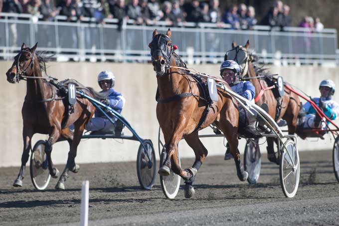 7 Rio Grande med Thoas Uhrberg vinder sin femte sejr i træk. Foto Kanal 75