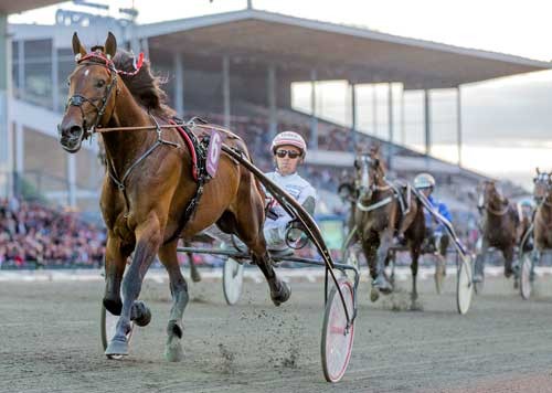 Robert Bi med Robin Bakker ved Europæisk 5 års Championat helt efter behag. Foto Kanal 75