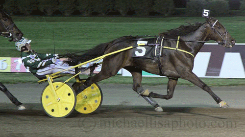 Rose Run Parjer med Yannick Gingras vandt i 1.08.8 i nat. Lisa Photo