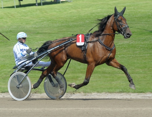 Roto, der starter i V75-1 er en af Flemming Jensens store vinderchancer i eftermiddagens V75-spil
