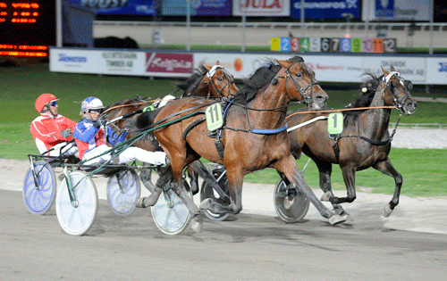 Royal Fighter med Jennifer Tillman går frem til sejr i 1.10.1 foran Spartan Kronos og den galoperende Västerbointhenews. Foto Kanal 75