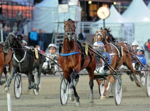 Royal Fighter er klar til Elitloppet Foto Kanal 75.