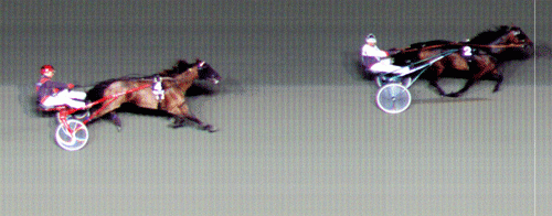 Savanna Bee med Kai Johansen vandt sikkert i ny rekord 1.11.3