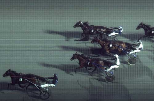 Sejr Gammelsbæk vandt sikkert foran Haras du Pin