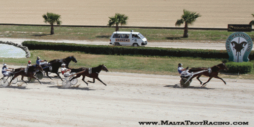 Sensei  med Noel Baldacchino vinder sikkert.