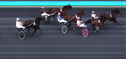 sentry-holmsminde-2905