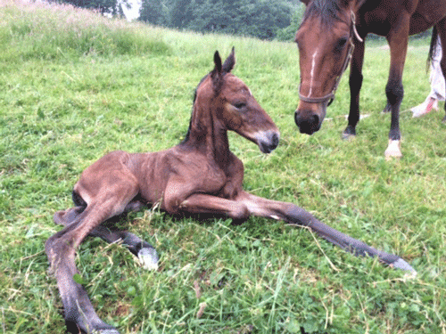 shelovesyoubutcher-16