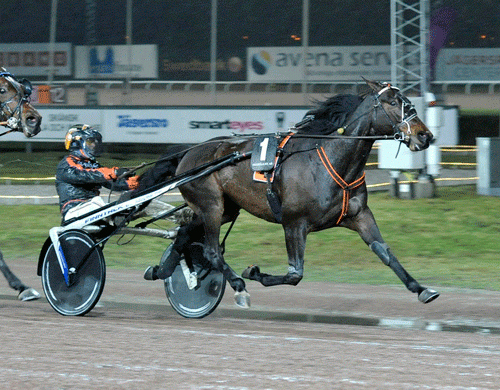 Shogun med Mikael Pilenberg vandt sikkert. Foto Kanal 75