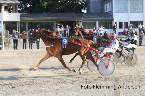 Sindy Shadow, der i Judy Mondena har samme moder som Citrus Shadow