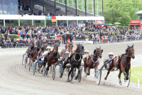 Foto Martin Timm Holmstav