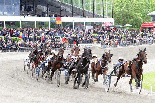 Foto Martin Timm Holmstav