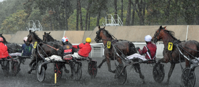 Danske løbsdage omkring Jul og Nytår