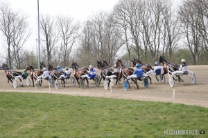 50% rabat til unge kuske og ryttere