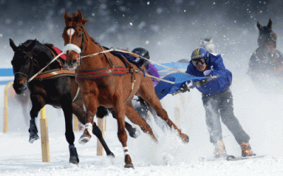 Sรฅdan ser er Skijoring-lรธb ud . det er i รธvrigt en gammel nordisk opfindelse, der er videreudviklet til vรฆddelรธbsbrug. Foto White Turf