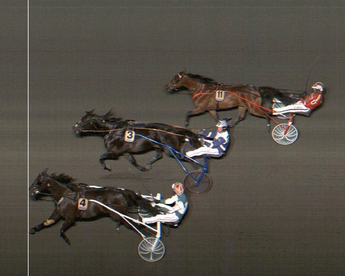 Skide so Easy med Kenneth Nielsen vandt sikkert foran Hertig shim og Drogba Bob.