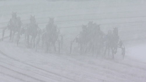 Sรฅdan sรฅ det ud pรฅ Bjerke lรธrdag eftermiddag