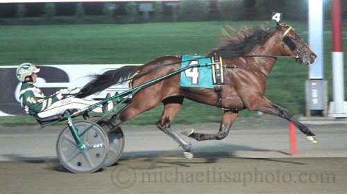 Southwind Frank med Yannick Gingras  satte tingene på plads. arkivfoto