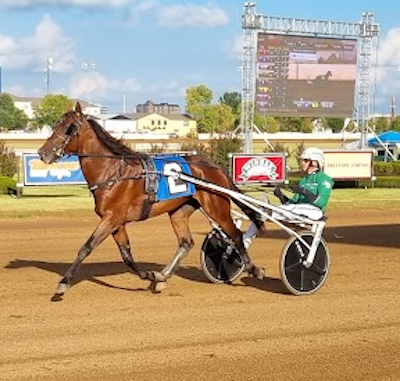 USA: Derfor testede den danskejede traver positiv i dopingprøve