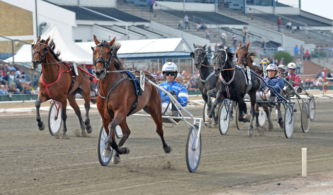 Peter Jensen-trænede Spark Rick med Erik Adielsson vandt sikkert i 1.11.0 Kanal 75