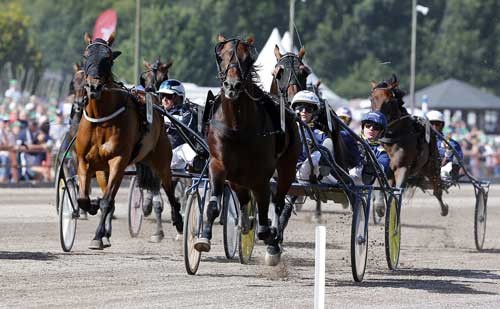 Standout med Erik Adielsson vinder sikkert Gulddivisionen. Foto Kanal 75