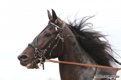 Travauktioner.dk: Staro McMillan interesserer