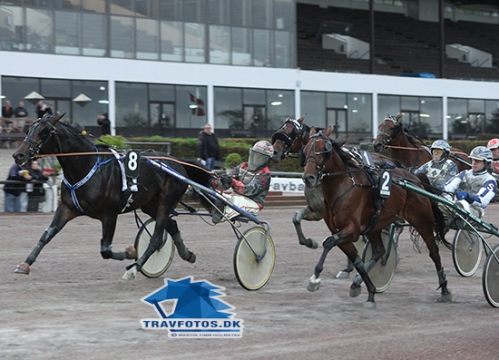 Trods et udvendigt løb er Staro Haley med Kasper K Andersen stærkest i opløbet og vinder foran Super Vategaard med Jørgen Sjunnesson