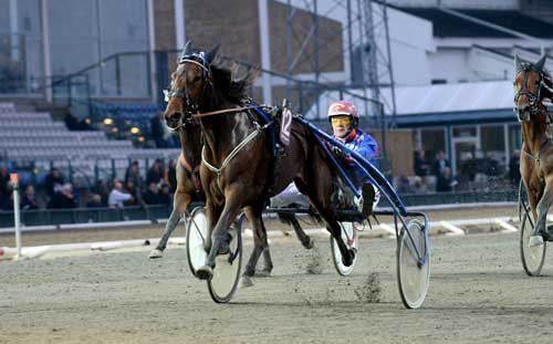 Staro Hollywood med TOrjörn Jansson ved den sikre sejr i V75 den 24. oktober. Foto Kanal 75