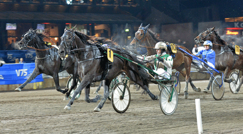 stelton-mal-lj-jpg-348273