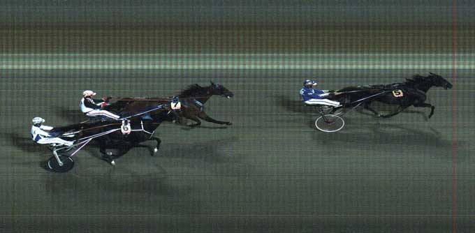 Stjerne Steensgaard vinder sikkert foran Spider Bee