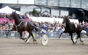 Surre med Christoffer Eriksson vandt 3 års Eliten på Solvalla i 1.11.9a/1609 m  og har siden vundet E3-lang Foto Kanal 75