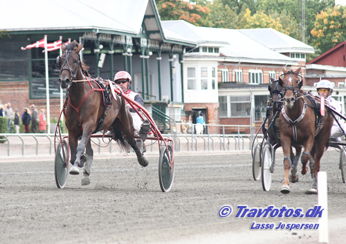 Hoppe Derbyvinderen Sumbeam er endnu uden sejr i denne sæson. Vinder den i eftermiddag?
