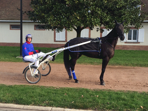 Tack Wee med Jørn Nørlem  på Grosbois, Foto privat
