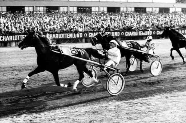 Tarok med Jørn Laursen vinder Dansk Trav Derby 1976. Foto Burt Seeger