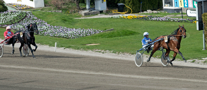 Tesio med Jorma Kontio  vinder sin debut i 1.14.2/2140 m volte!! Forto Kanal 75